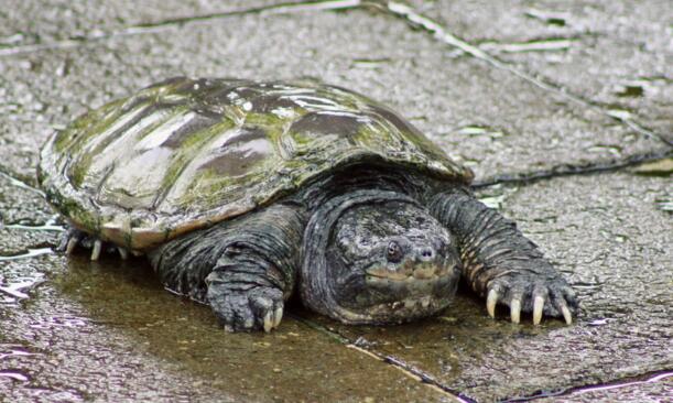 QQ截图20160816173416