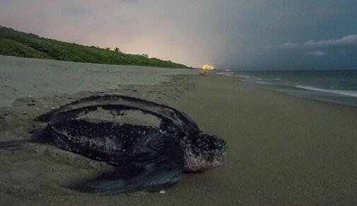 QQ截图20160816173722