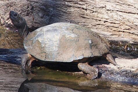 QQ截图20160816164838