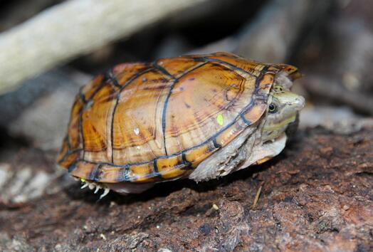 QQ截图20160816172743