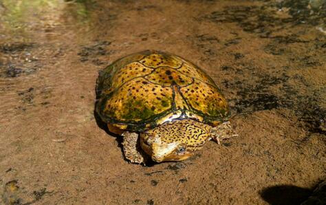 QQ截图20160816172800