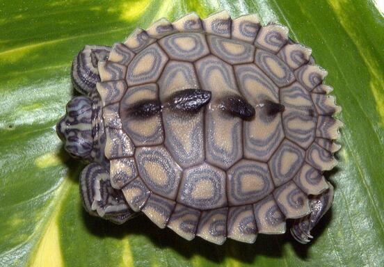 QQ截图20160816171456