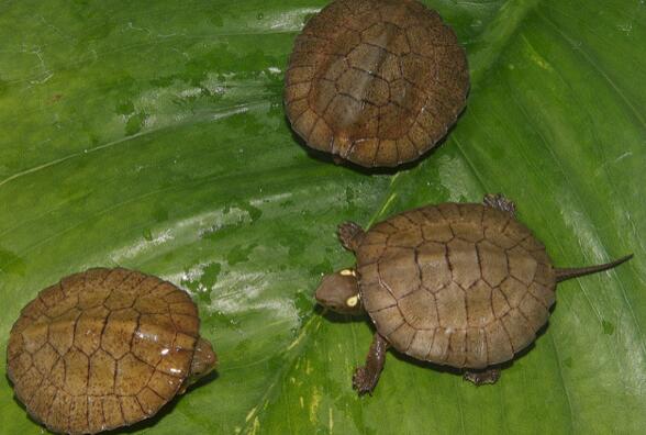 QQ截图20160816165748