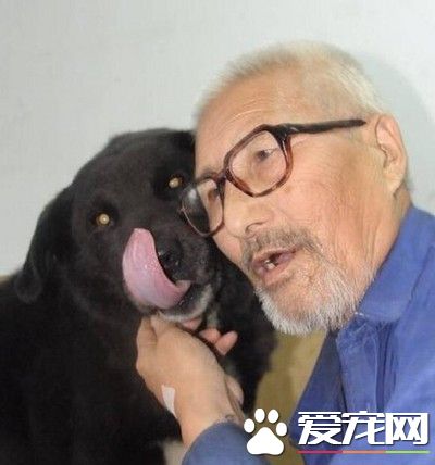 怕死后没人照顾狗狗 老人立遗嘱8万给爱犬