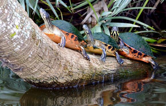 QQ截图20160817174608