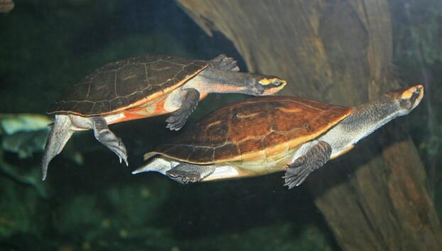 QQ截图20160817165417