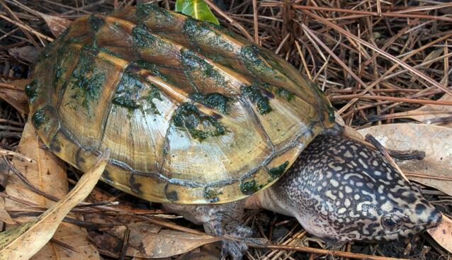 QQ截图20160817162342