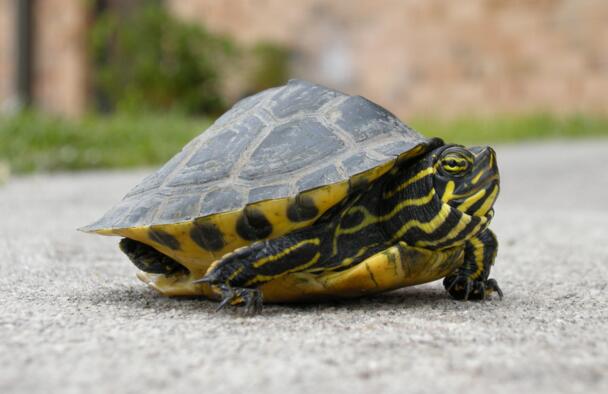 QQ截图20160817171236