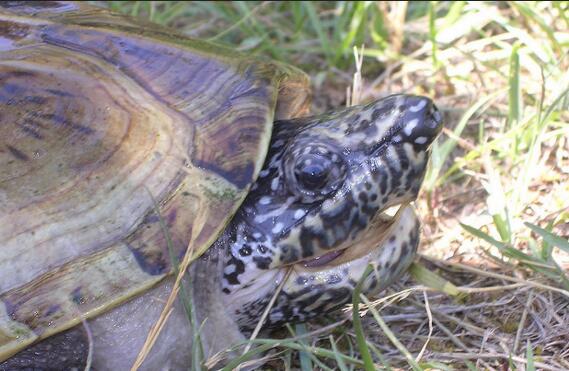 QQ截图20160817162347