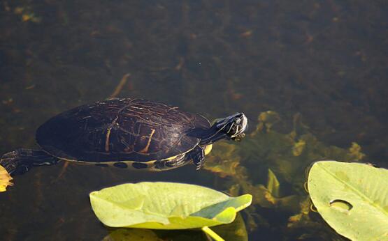 QQ截图20160817174619