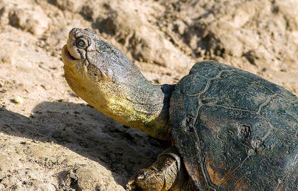 QQ截图20160817171713