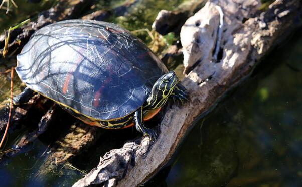 QQ截图20160817174923