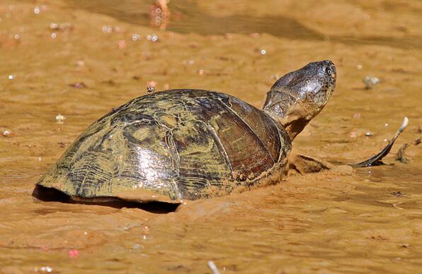 QQ截图20160817171721