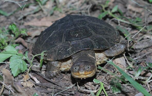 QQ截图20160817171706