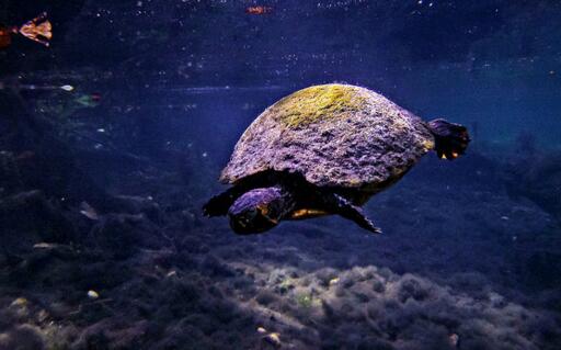 QQ截图20160817170753