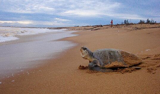 QQ截图20160817161645