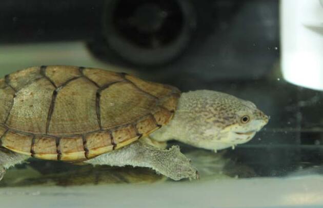 QQ截图20160817163831