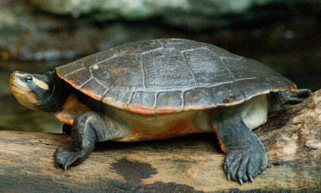 QQ截图20160817165407