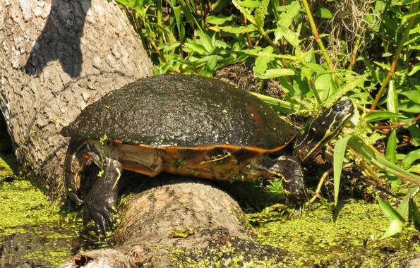 QQ截图20160817174626