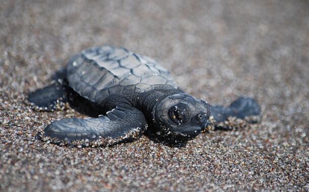 QQ截图20160817162117