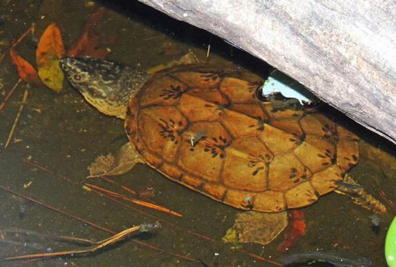 QQ截图20160817162431