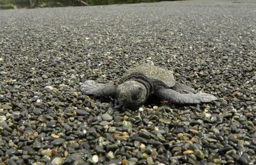 QQ截图20160817161657