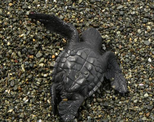 QQ截图20160817161652