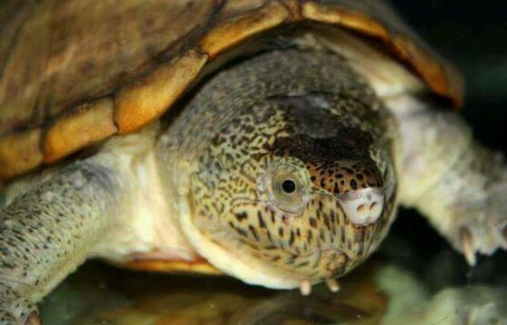 QQ截图20160817163647