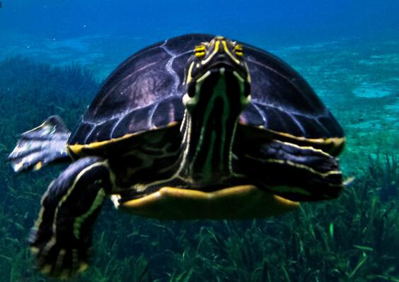 QQ截图20160817170928