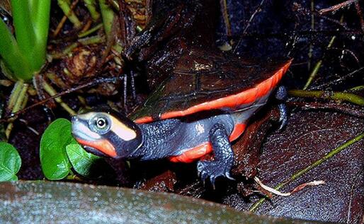 QQ截图20160817165357