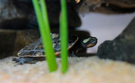 QQ截图20160817170218