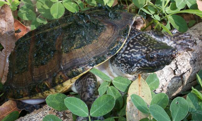 QQ截图20160817162336