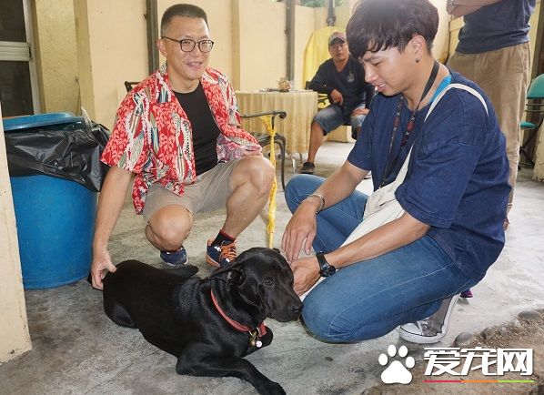 捡到走失犬 比狗主人还急每天看望