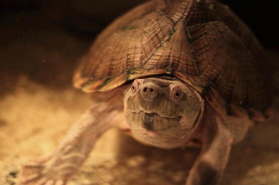 QQ截图20160818162935