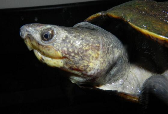 QQ截图20160818174838