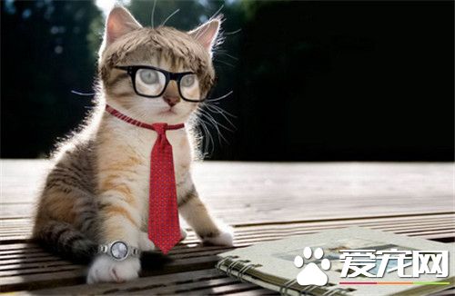 作为一个成功人士你永远不懂我！