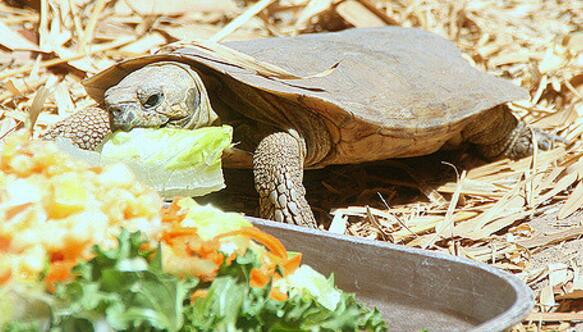 QQ截图20160818175104