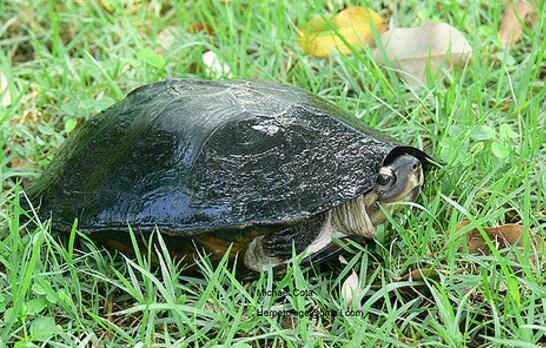 QQ截图20160818162511