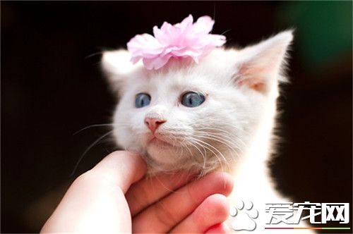 麻麻，人家的小花漂酿么~~