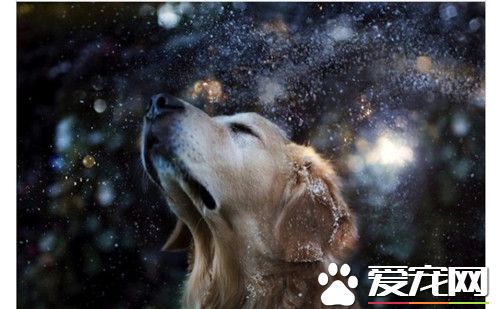 梦幻的感觉真好！