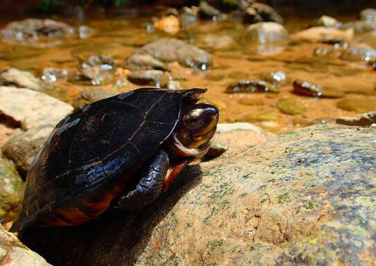 QQ截图20160818162524