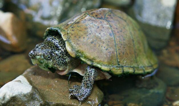 QQ截图20160818162930