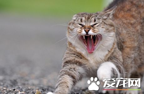 顶住，我来了！