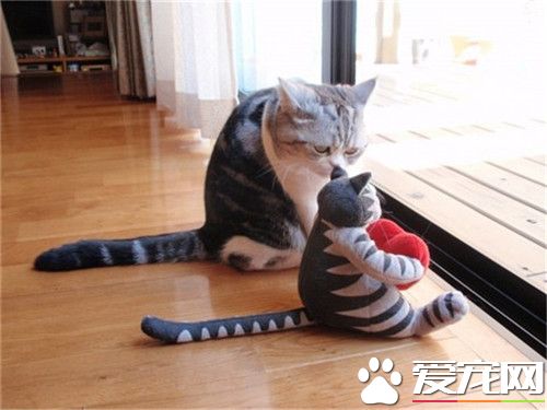 说，你到底是不是我亲生的！