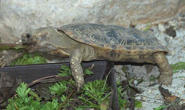 QQ截图20160818175059