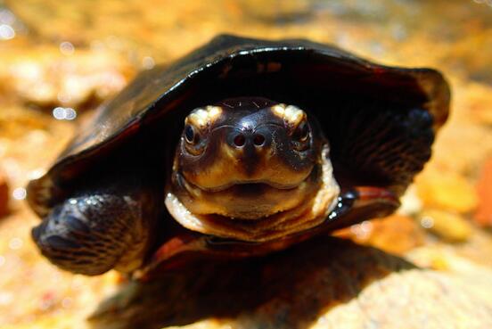 QQ截图20160818162516