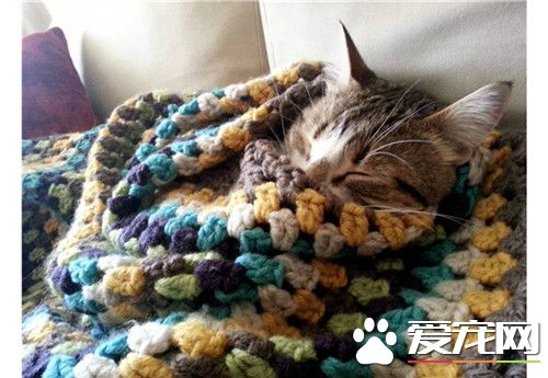 这张毛毯真舒服！