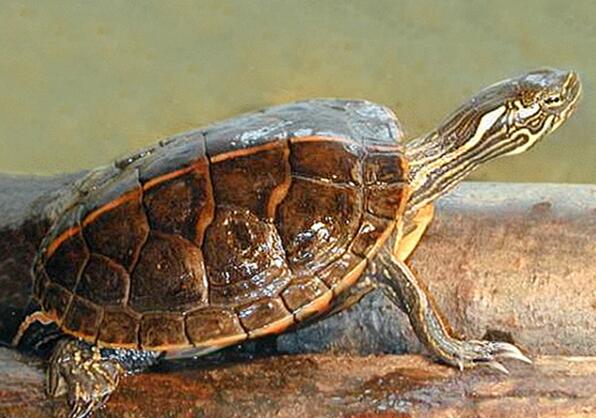 QQ截图20160818170754