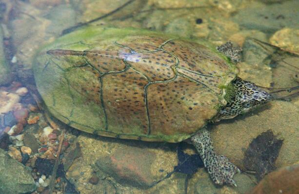 QQ截图20160818162940