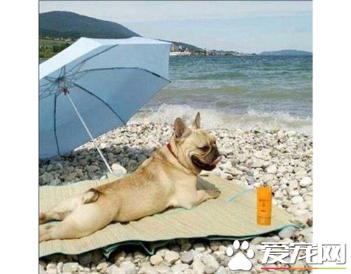 能帮我涂一下防晒吗？